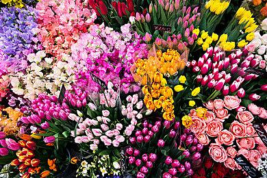 雪人兄弟3D新作《雪人兄弟 仙境》预告 明年发售